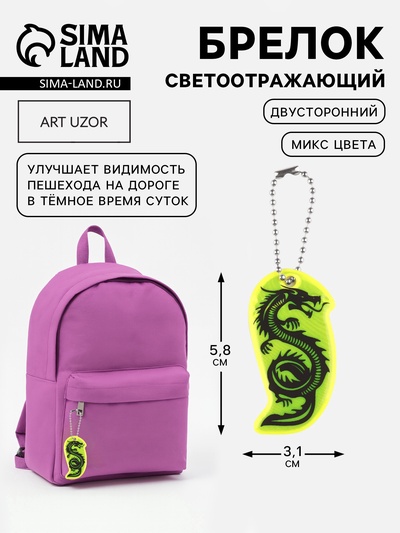 Светоотражающий элемент «Силуэт дракона», двусторонний, 5.8×3.1 см, МИКС