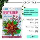 Сбор трав для бани OBSI № 1 пробуждение, 10 шт*2,5 г - фото 10647697