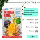 Сбор трав для бани OBSI № 2 активная жизнь, 10 шт*2,5 г 9351523 - фото 10647718