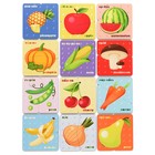 Пазл деревянный «Фрукты-овощи», картинки-половинки, 24 детали - фото 22361519