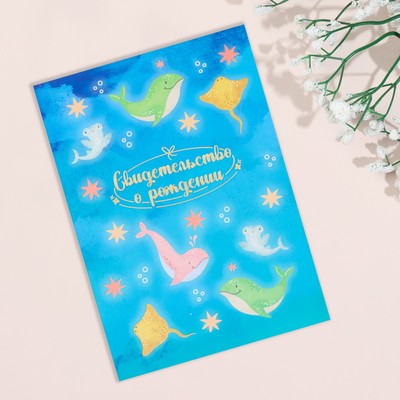 Свидетельство о рождении «Дельфины», А4