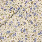 КПБ 2 сп Экономь и Я "Цветочный сад" 173*215см, 175*214см, 50*70см-2шт, 60г/м2, микрофибра - фото 805672306