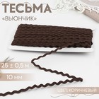 Тесьма отделочная «Вьюнчик», 10 мм, 25 ± 0,5 м, цвет коричневйы №32 9794235 - фото 10649053