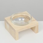 Подставка одинарная с миской из прозрачного стекла 16 х 14,5 х 6,5 см 250 мл - Фото 1