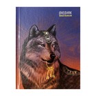 Дневник универсальный для 1-11 классов "Волк и ключи", твёрдая обложка, глянцовая ламинация, шпаргалка, 48 листов - фото 10879712