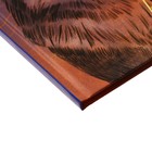 Дневник универсальный для 1-11 классов "Волк и ключи", твёрдая обложка, глянцовая ламинация, шпаргалка, 48 листов - фото 10879714