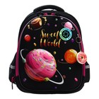 Рюкзак каркасный, 36 х 28 х 20 см, Grizzly RAz-386, чёрный RAz-386-8_1 - фото 25275738