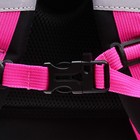 Рюкзак каркасный, 36 х 28 х 20 см, Grizzly RAz-386, чёрный RAz-386-8_1 - фото 25275745