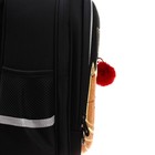 Рюкзак каркасный, 36 х 28 х 20 см, Grizzly RAz-386, чёрный RAz-386-9_3 - фото 22363999