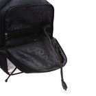 Рюкзак молодёжный Grizzly, 39 х 26 х 19 см, эргономичная спинка, отделение для ноутбука - фото 22364343