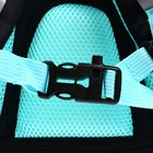 Рюкзак школьный, 40 х 25 х 13 см, Grizzly 364, эргономичная спинка, чёрный RG-364-4_1 - фото 24302404