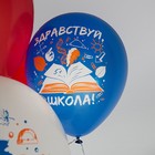 Воздушные шары латексные 12" «1 Сентября», 25 шт., шелкография, МИКС - Фото 3