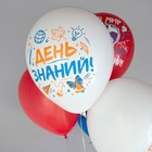 Воздушные шары латексные 12" «1 Сентября», 25 шт., шелкография, МИКС - Фото 6