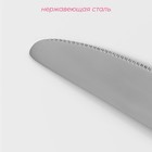 Нож столовый из нержавеющей стали Доляна «Моджо», длина 20,8 см, толщина 3 мм - Фото 2