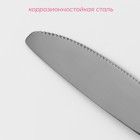 Нож столовый Доляна из нержавеющей стали «Оптима», длина 20,7 см, толщина 2 мм - Фото 2
