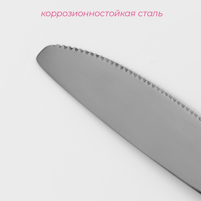 Нож столовый Доляна из нержавеющей стали «Оптима», длина 20,7 см, толщина 2 мм - фото 1909222821