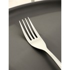 Вилка столовая Magistro Bravo, длина 18.8 см, толщина 2 мм, нержавеющая сталь - Фото 3