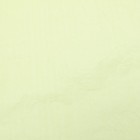 Бумага эколюкс «Нежно - салатовая», 0.7 x 5 м - фото 805675424