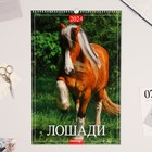 Календарь перекидной на ригеле "Лошади" 2024 год, А3 - фото 10651885