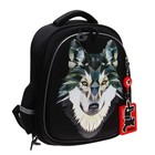 Рюкзак каркасный, 36 х 28 х 20 см, Grizzly RAz-087, чёрный RAz-087-3_1 - фото 24598018