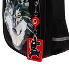 Рюкзак каркасный, 36 х 28 х 20 см, Grizzly RAz-087, чёрный RAz-087-3_1 - фото 24598027