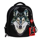 Рюкзак каркасный, 36 х 28 х 20 см, Grizzly RAz-087, чёрный RAz-087-3_1 - фото 24598019