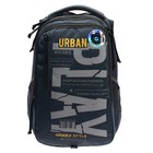Рюкзак молодёжный Grizzly, 42 х 31 х 22 см, эргономичная спинка, отделение для ноутбука - фото 22622111