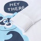 Пижама для мальчика (лонгслив/штанишки), цвет белый/синий/енот, рост 122см 9758864