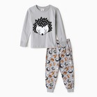 Пижама для мальчика (лонгслив/штанишки), цвет серый/ёжик, рост 98см - фото 319613854