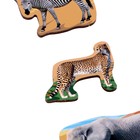 Рамка-вкладыш «Животные Африки» - фото 24518503