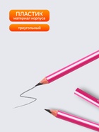 Карандаш чернографитный Calligrata, HB, трёхгранный с полоской, пластиковый, МИКС - Фото 2