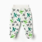 Комплект детский (распашонка, ползунки), цвет белый/кактусы, рост 68 см 9704245