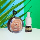 Подвеска автомобильная Летающий кот + аромамасло Виноград 5 мл - фото 22497198