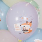 Шар латексный 12" «Мяу, Лис ми, Поздравляю», макарунс, 1-сторонний, набор 25 шт., МИКС - фото 22602284