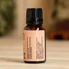 Эфирное масло «Корица» флакон-капельница 17 мл «Добропаровъ» - Фото 3