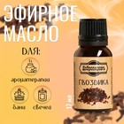 Эфирное масло «Гвоздика» флакон-капельница 17 мл «Добропаровъ» - Фото 1
