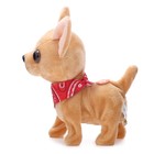 УЦЕНКА Интерактивная игрушка «Любимый питомец: Собачка» - Фото 2