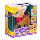 УЦЕНКА Интерактивная игрушка «Любимый питомец: Собачка» - Фото 3