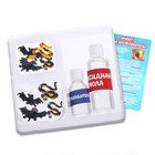 Игровой набор «Музей ужасов», 2 экспоната, с эпоксидной смолой, уценка - Фото 2