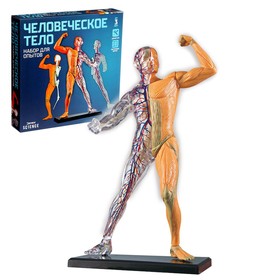 {{photo.Alt || photo.Description || 'Научный опыт «Человеческое тело», уценка'}}