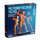 Научный опыт «Человеческое тело», уценка 9844286