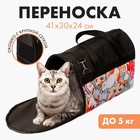 Сумка - переноска «Котиков много не бывает», 41х30х24 см - Фото 1