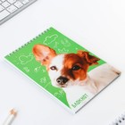 Блокнот «Собака» , формат А5, 40 листов, картонная обложка мягкая - фото 6988572