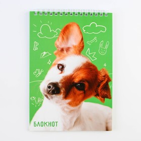 Блокнот «Собака» , формат А5, 40 листов, картонная обложка мягкая