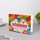 Свидетельство "Первоклассника" рябина, 22х16,5 см (комплект 10 шт) - фото 22372477