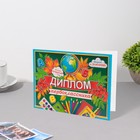 Диплом "Первоклассника" рябина, зеленый фон, 22х16,5 см (комплект 10 шт) - фото 22372497