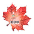 Украшение на скотче "Кленовый лист" красный цвет, 18х18 см (комплект 10 шт) - фото 25275861