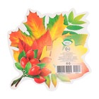 Украшение на скотче "Осенний букет" плоды шиповника, 18х18 см (комплект 10 шт) - фото 25275867