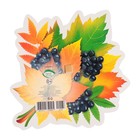 Украшение на скотче "Осенний букет" ягоды, черный тон, 18х18 см (комплект 10 шт) - фото 25275870