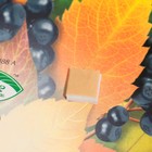 Украшение на скотче "Осенний букет" ягоды, черный тон, 18х18 см (комплект 10 шт) - фото 25275871